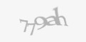 Защитный код