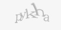 Защитный код